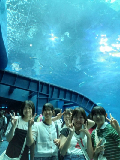 ５月１３日C5