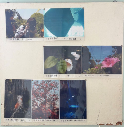 image4